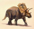 /album/foto%c4%9fraflar%3a-anasayfa/anchiceratops-dinazor-t%c3%a3%c2%bcr%c3%a3%c2%bc-jpg1/